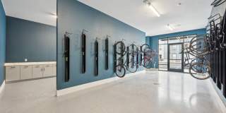 The Quarry Gallery 53