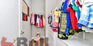 8233 Canetti Street Gallery 43