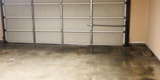 13 Nevada Gallery 23