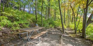 Lake Forest Apartments Gallery 50