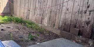 4085 49th St 4085 49th St Gallery 12