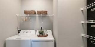 The Avante Gallery 26