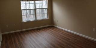 240 Hidden Woods Court Gallery 10