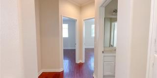 16 First Street Gallery 33