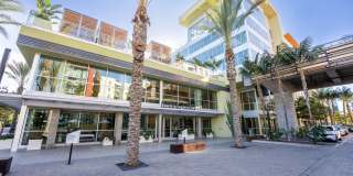 Vive on the Park Gallery 45