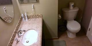 3064 WINTER PINE Court Gallery 14