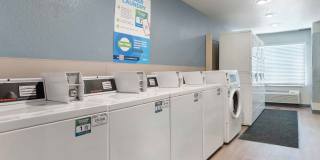 Montgomery Gallery 11