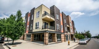 Zuma Apartments Gallery 1