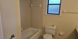 540 MAJESTIC WOOD Drive Gallery 9