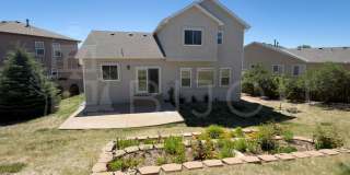 Beautiful 5-Bedroom Home Featuring Pikes Peak Views, Finished Basement & Private Backyard Gallery 23