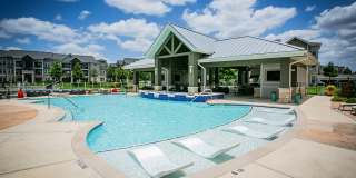 Aliso Briar Forest Gallery 24