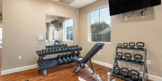 Diamond Mesa Gallery 16