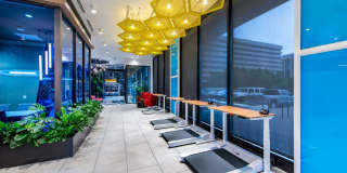 Three Collective Gallery 70