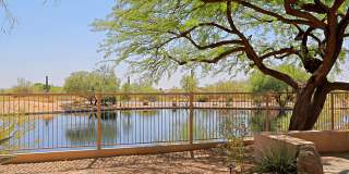 7155 E NIGHT GLOW Circle Gallery 60