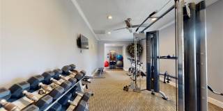 Vue on Medlock Gallery 24