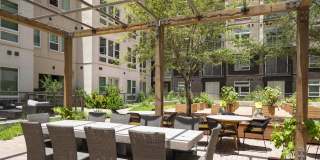 Gallery at Domain Gallery 3