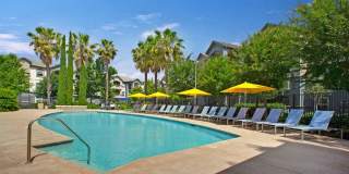 Broadleaf Apartments Gallery 3