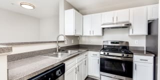 Governor's Green Gallery 13