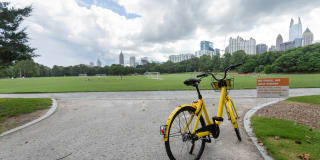 Windsor at Midtown Gallery 50