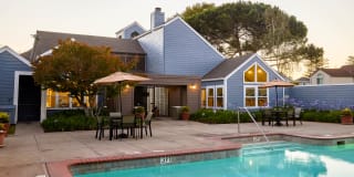 Lantern Cove Gallery 36