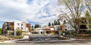 Sutter Green II Gallery 2