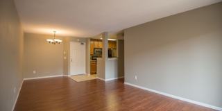 7150 Shoreline Drive Gallery 3