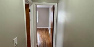 343 Elmwood Drive Gallery 28