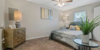 Pinnacle Ridge Gallery 21