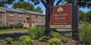 Orchard Square Gallery 7