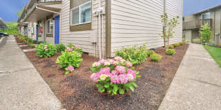 The Zimmer Gallery 35