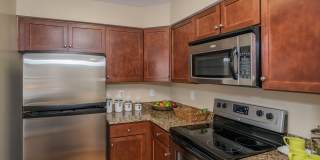 The Encore Gallery 12