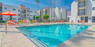 THE MODERN CACTUS Gallery 2