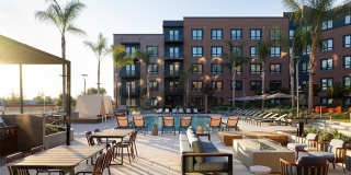 Orlo & Alba Gallery 5