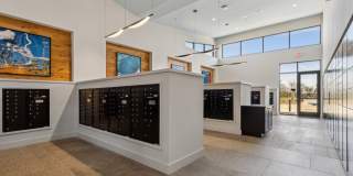 Lakesound Gallery 20