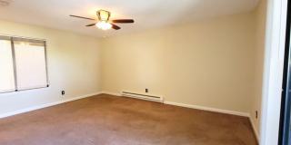 3870 East Leonesio Drive Gallery 2