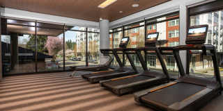 The Charles Gallery 55