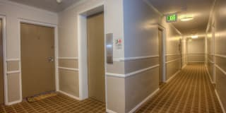 1190 Birch Apartments Gallery 20