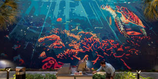 Tortoise One Gallery 41