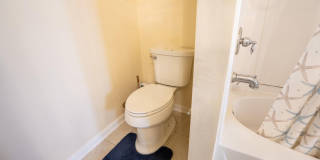 6794 ARCHING BRANCH Circle Gallery 13