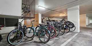 222 Liliuokalani Avenue #1403 - 1403 Gallery 24