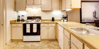 Vista Ridge Gallery 33