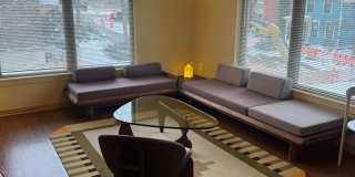 Settlement Place Gallery 274