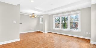 225 Stanley Avenue unit: 204 Gallery 8