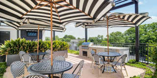 Axis Midtown Gallery 33