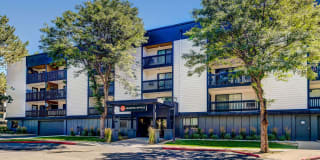 Sage at Panorama Gallery 19