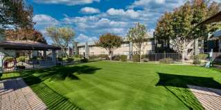 TelaVerde Gallery 16