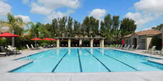 Beautiful 4 bed, 2.5 bath unit in Orange. Gallery 30