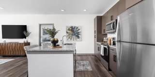 Standard441 Gallery 19