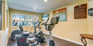 Woodlawn Gardens Apartments Gallery 17