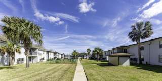 Palm Cove Apartments Gallery 17